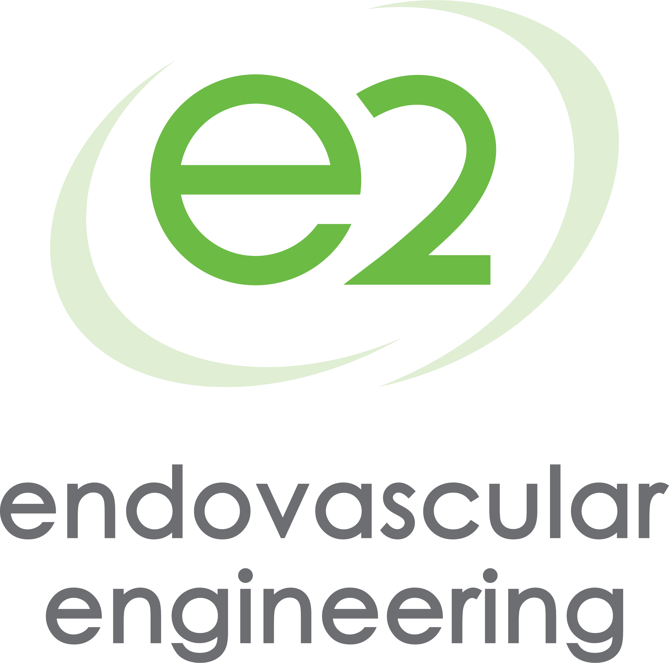 Endovascular Engineering